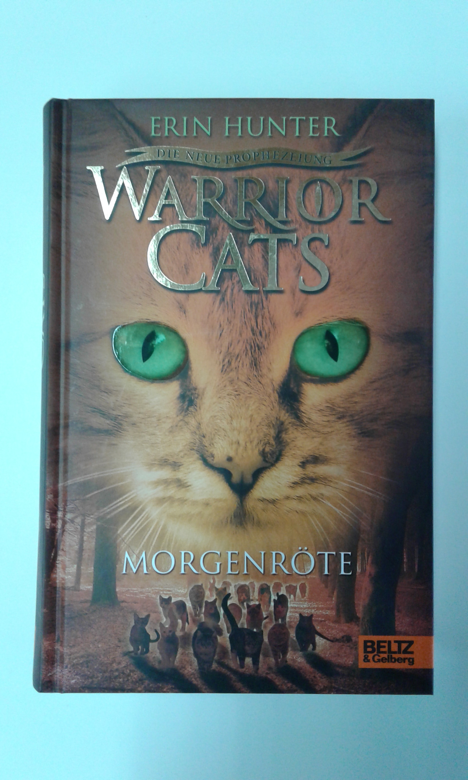 Hunter, Warrior cats.