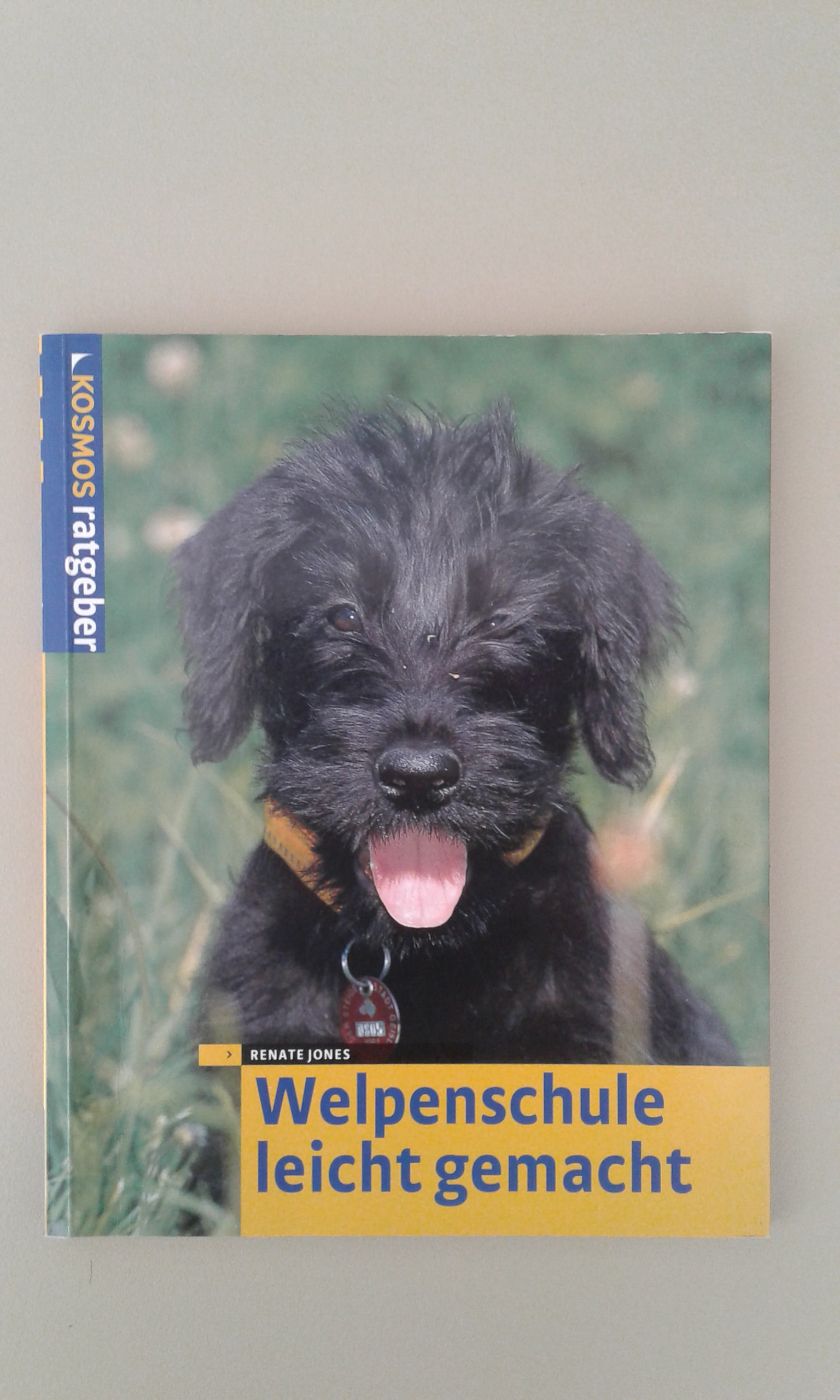 Jones, Welpenschule leichtgemacht.